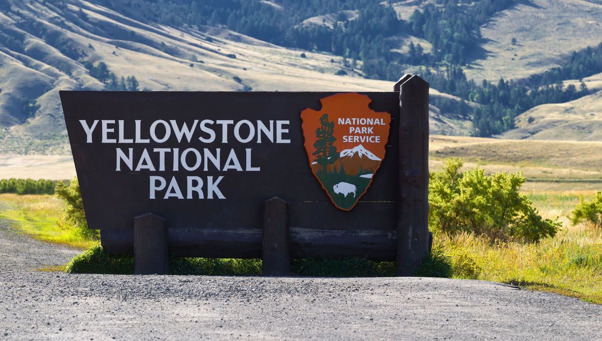 El Parque Nacional Yellowstone se fundó en 1872 y es el primer parque nacional de Estados Unidos. El Parque Nacional Yellowstone se fundó en 1872 y es el primer parque nacional de Estados Unidos.