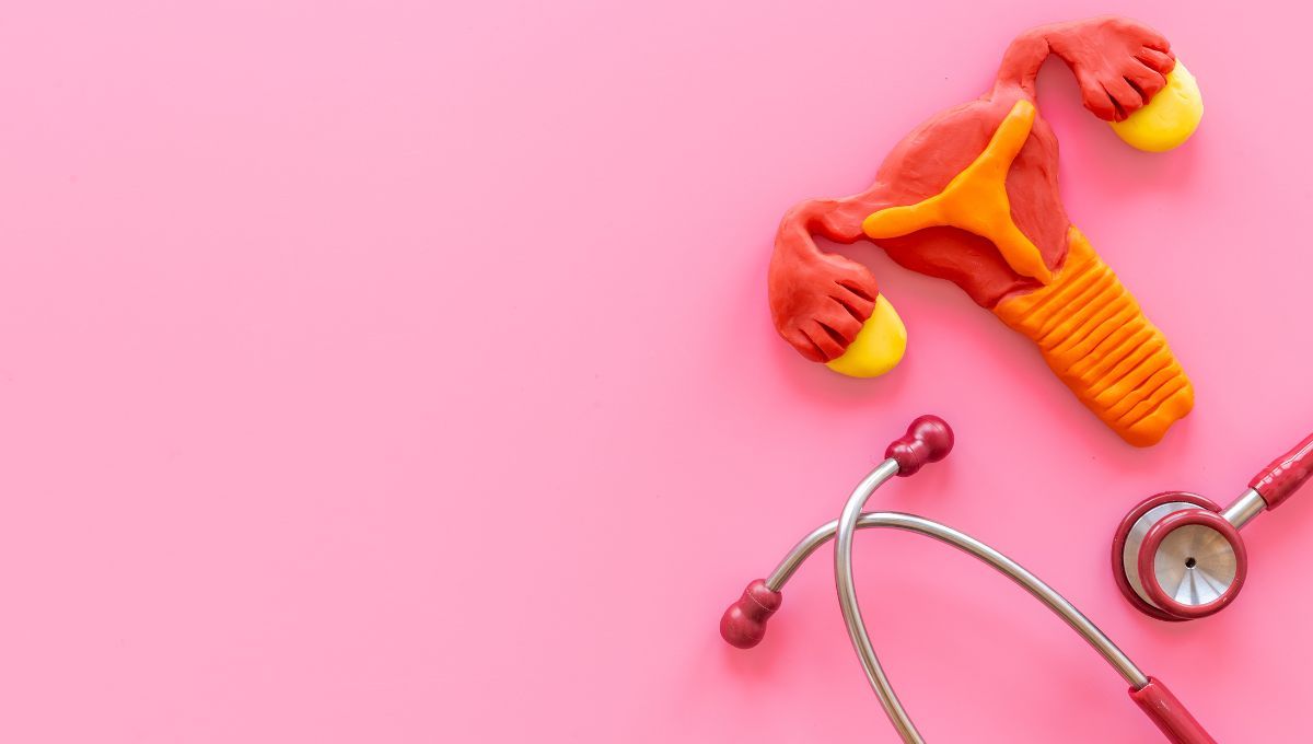 Los ovarios cambian a lo largo de la vida. Los ovarios cambian a lo largo de la vida.