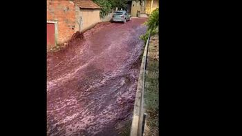 La rotura de dos depósitos causó un río de vino tinto