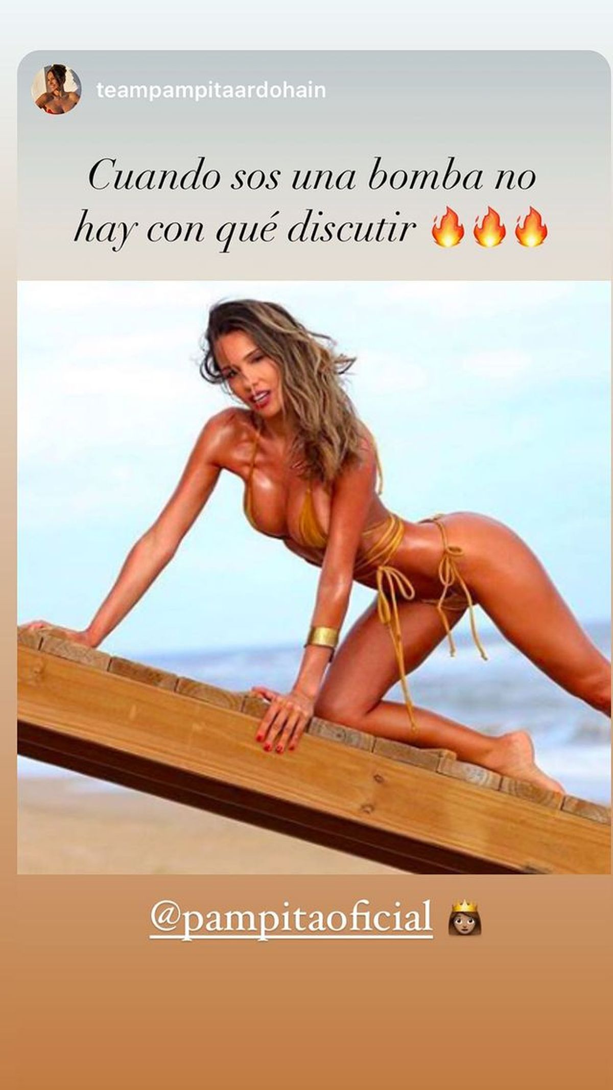 La explosiva foto de Pampita en bikini.