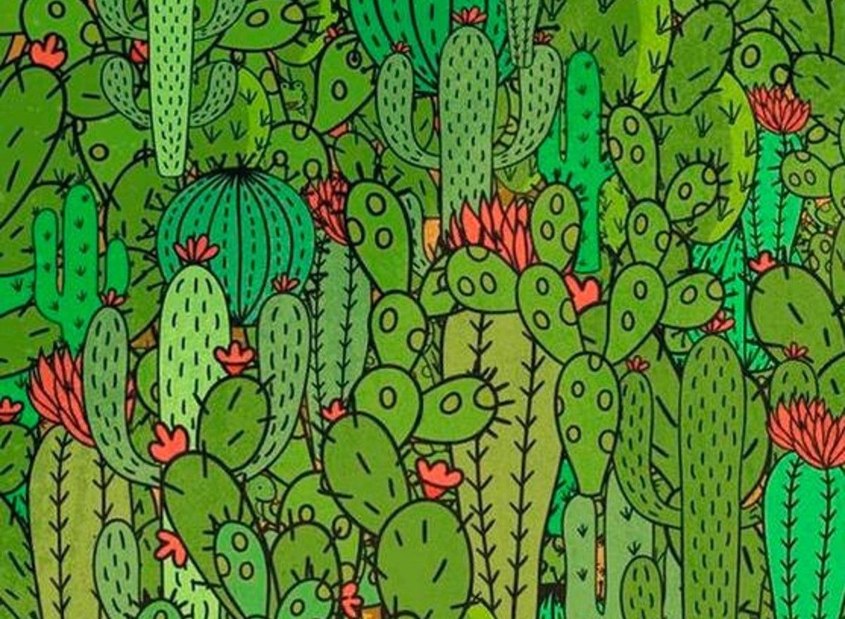 Retos virales: encuentra los tres animales escondidos en la imagen