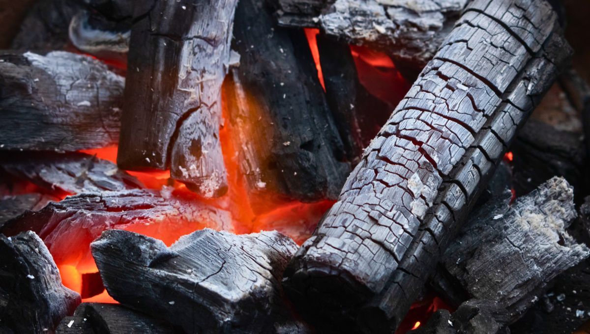 Cuando se pone la leña al fuego, mientras se hace el asado, se van conviertiendo enscenizas. Ese polvo cuenta con múltiples beneficios si se usa con cuidado. Fuente: Canva. Cuando se pone la leña al fuego, mientras se hace el asado, se van conviertiendo enscenizas. Ese polvo cuenta con múltiples beneficios si se usa con cuidado. Fuente: Canva.
