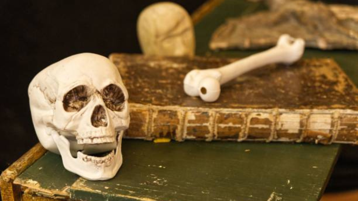 Los restos fósiles pertenecen a una persona del género Homo.