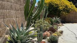 Ecológicos y bellos. Los jardines xerófilos son cave para el cuidado del agua. La Ciudad de Mendoza elaboró una guía.