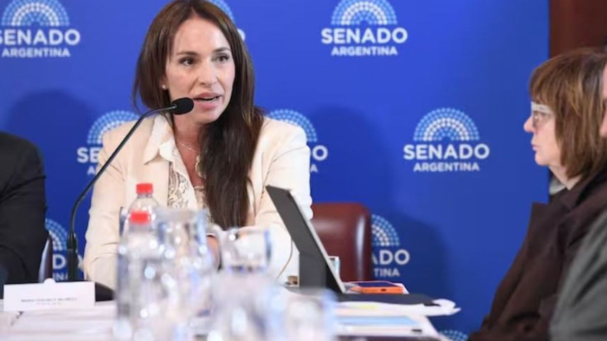 María Verónica Michelli el día que expuso en el Senado. María Verónica Michelli el día que expuso en el Senado.