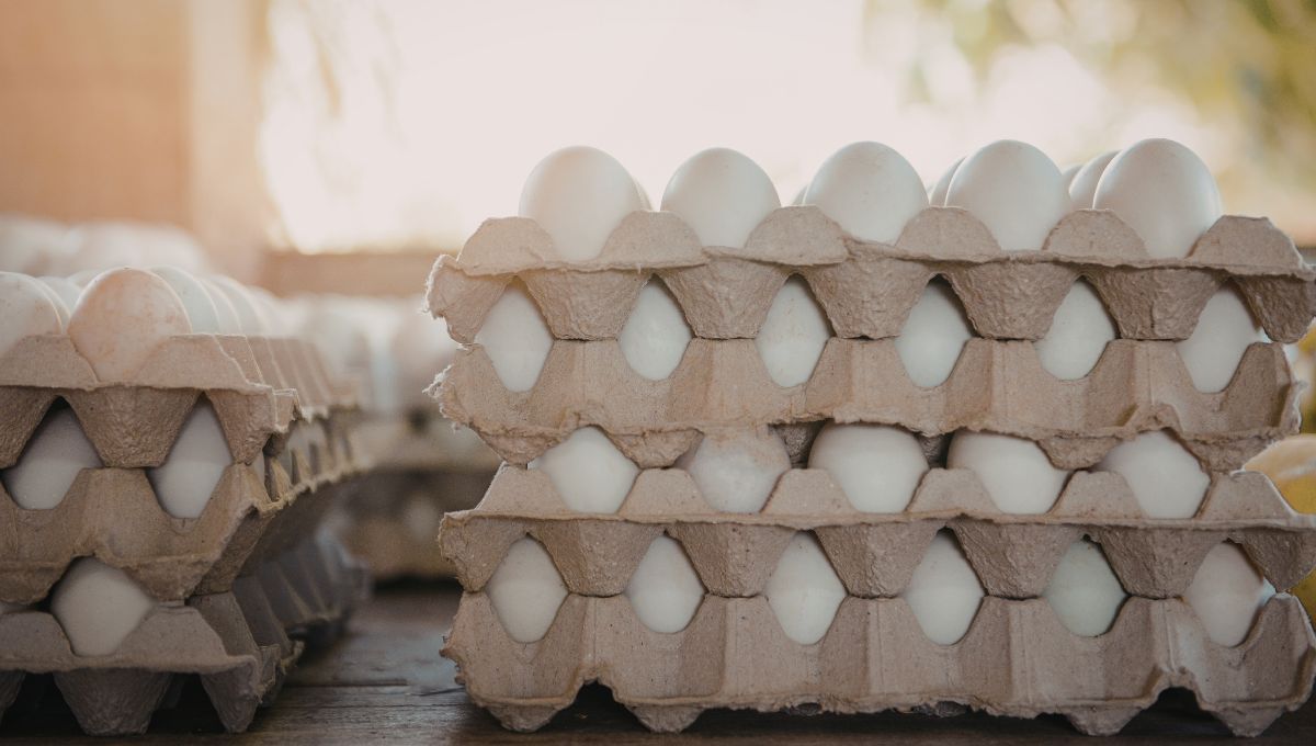 Cómo transformar simples maples de huevo en platos de diseño