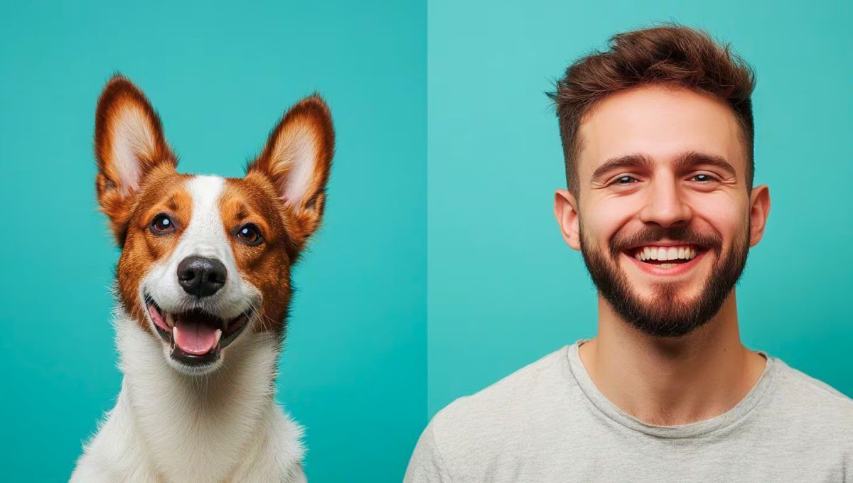 Psicología del comportamiento: por qué los perros imitan a las personas. Fuente: Infobae