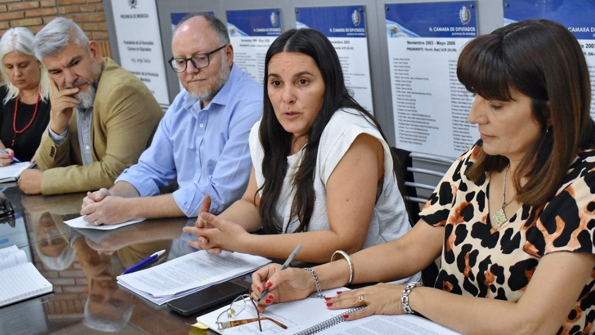 Tanto los legisladores como el Gobierno coincidieron en las bondades de la creación de la Ley de Mecenazgo, para apadrinar artistas tal como sucede en otras provincias del país.