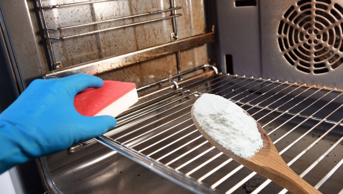 Fuente canva Fuente canva