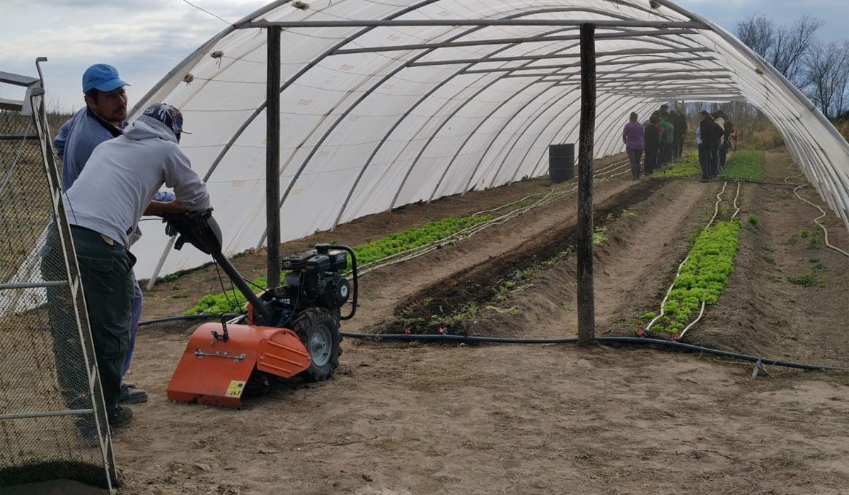 Radiografía del mundo de las cooperativas: al 60% de las que hay en Mendoza les cuesta manejarse dentro de la ley.