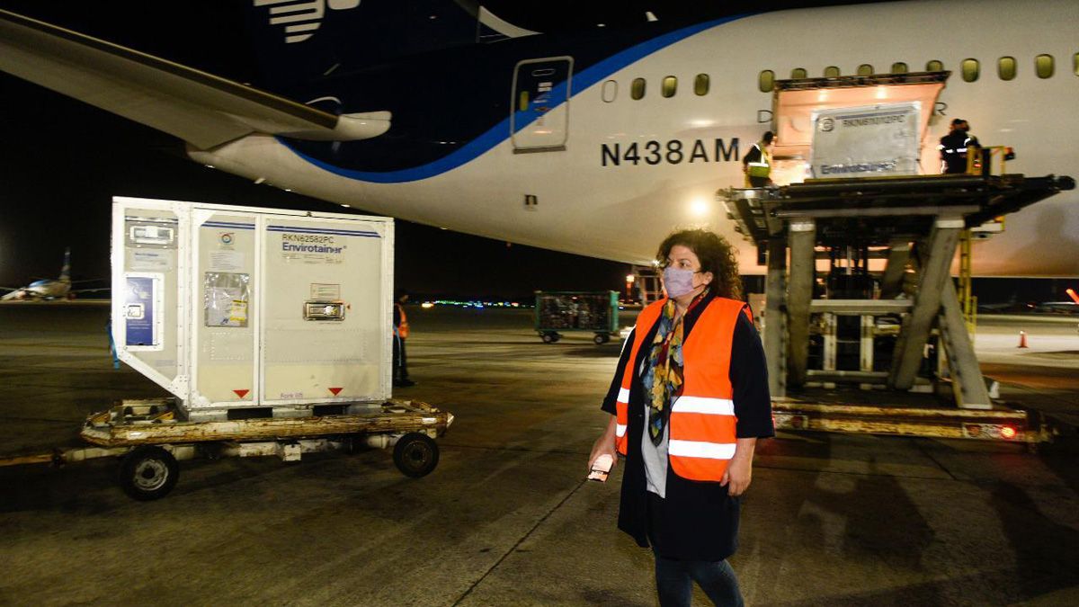 La ministra de Salud de la Naci&oacute;n, Carla Vizzotti, fue a Ezeiza a recibir el nuevo cargamento de vacunas AstraZeneca.