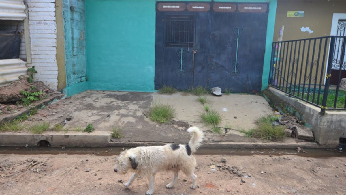 Hugo Osorio Chávez es un ex policía que asesinó a 18 personas, en su mayoría mujeres, a las violaba y enterraba en su casa. Hugo Osorio Chávez es un ex policía que asesinó a 18 personas, en su mayoría mujeres, a las violaba y enterraba en su casa.