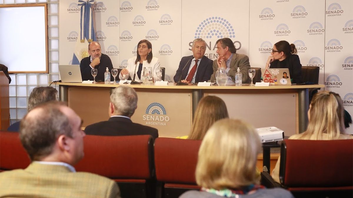 Defensa de la Boleta Única en la Cámara Alta de la Nación.