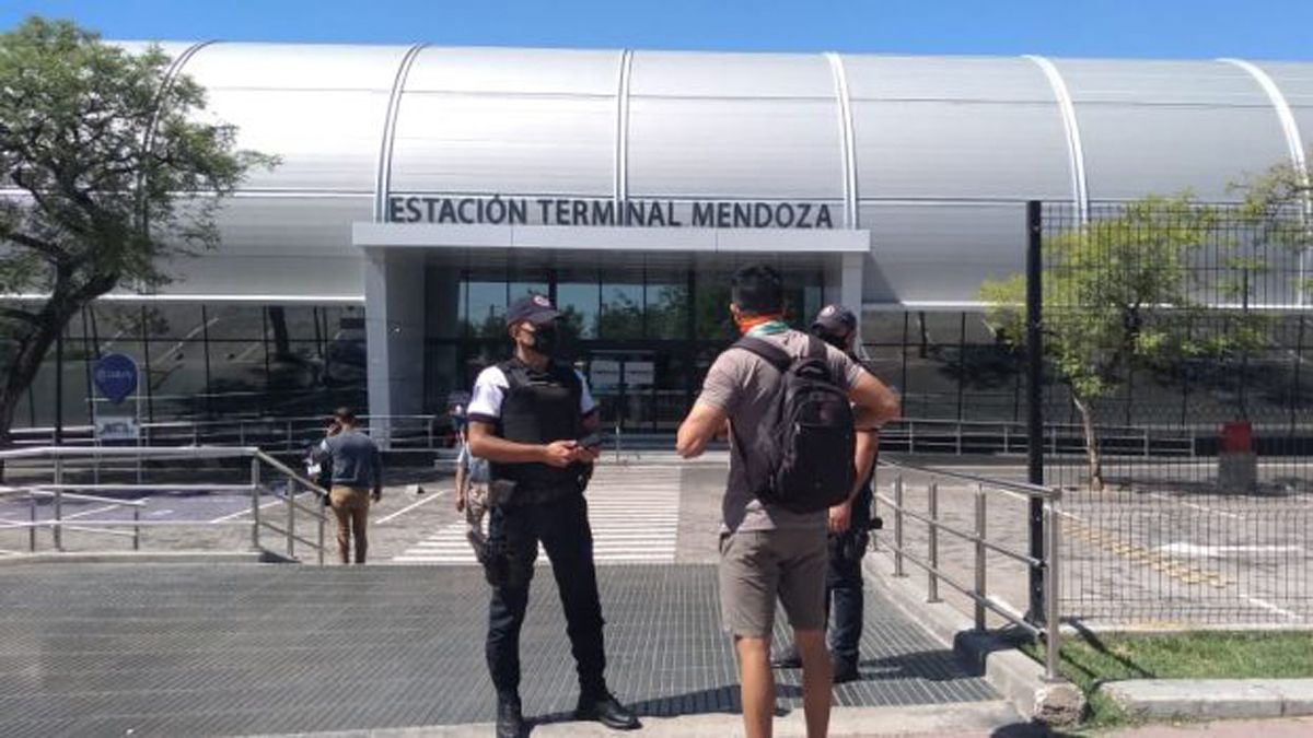 Turismo: Mendoza con picos del 100% de ocupación