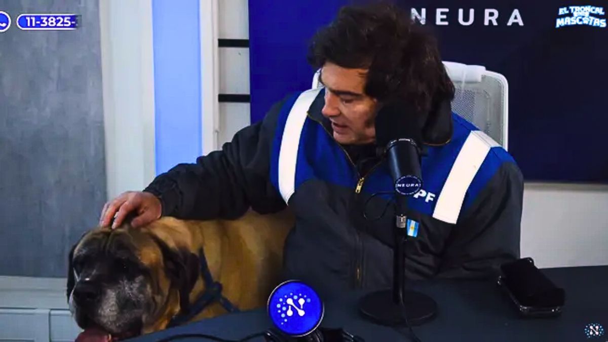 Javier Milei con el perro Conan. (Foto captura de pantalla).