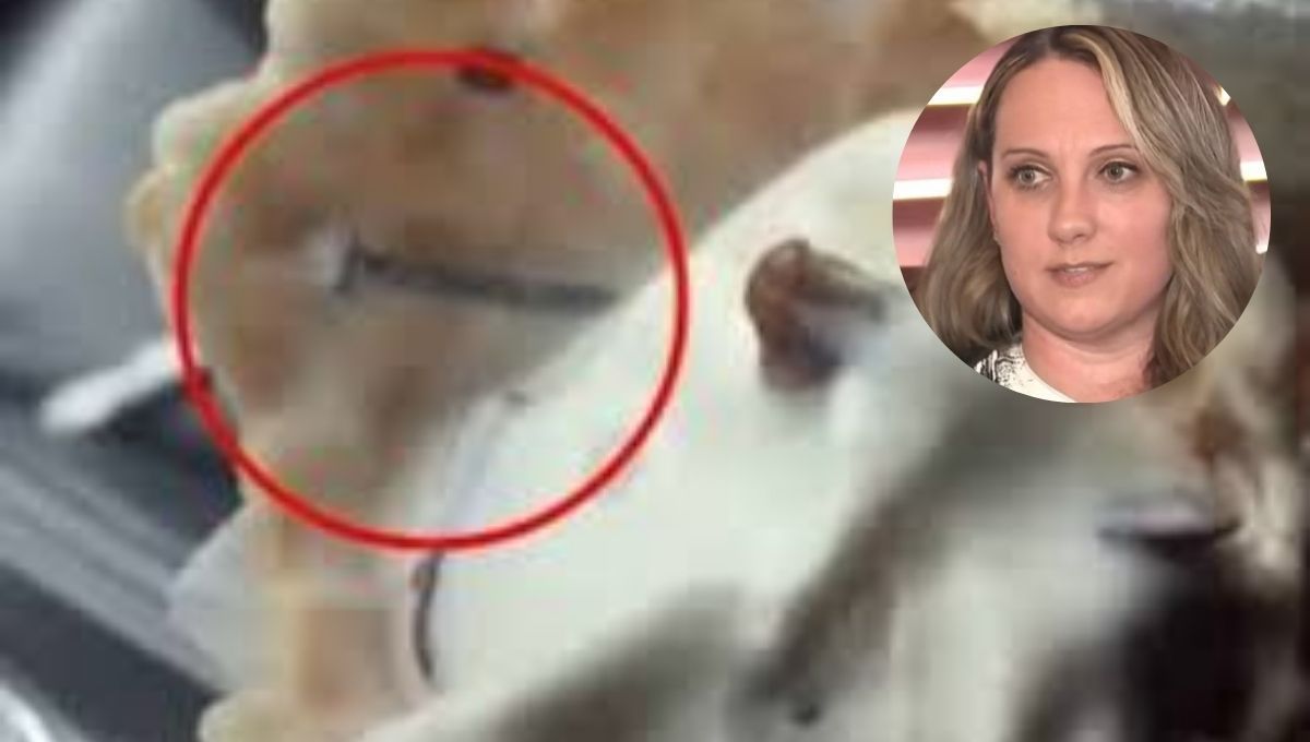 Pensó que eran nueces, pero eran clavos: la mujer que recibió una indemnización millonaria comiendo helado