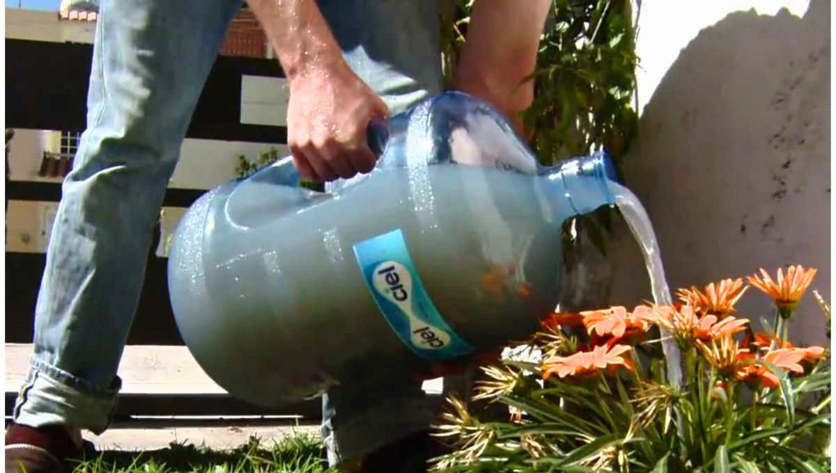 Por qué deberías regar tus plantas con el agua residual del aire acondicionado: hace la diferencia