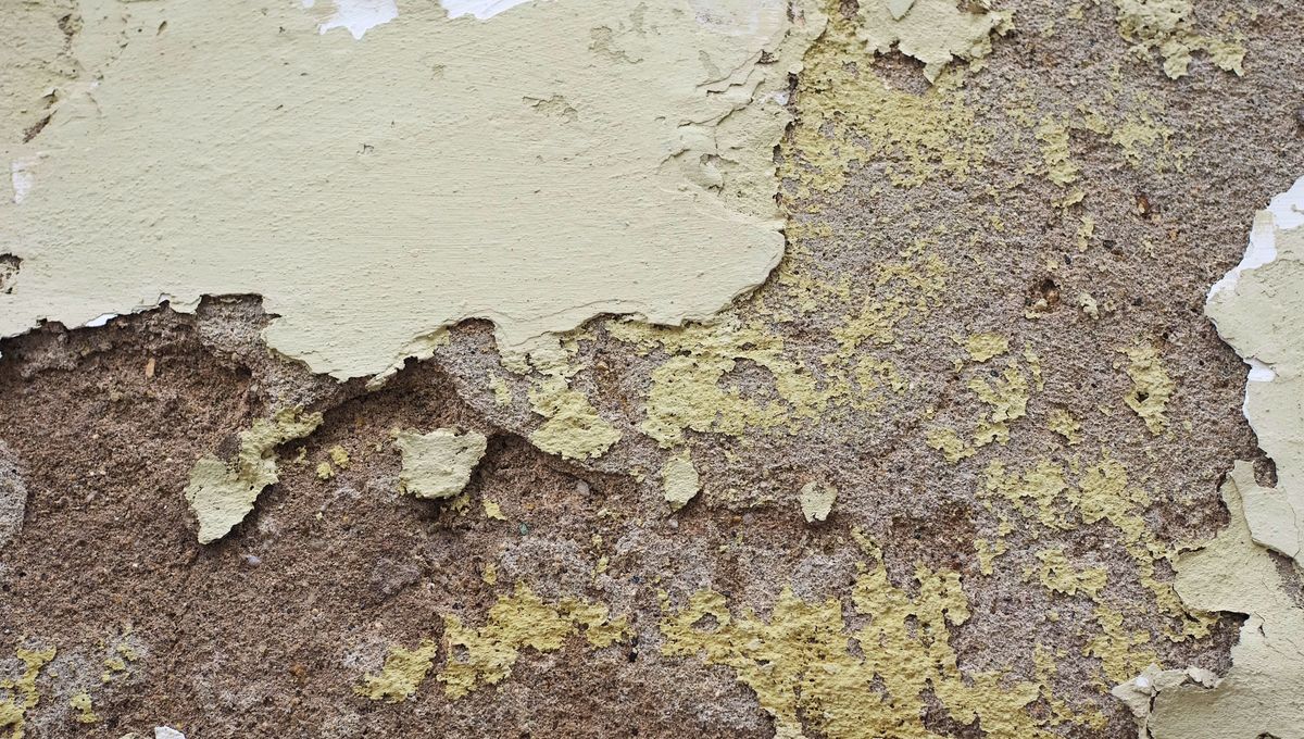 Estos productos para la humedad los venden en las tiendas de pintura o construcción. Estos productos para la humedad los venden en las tiendas de pintura o construcción. 