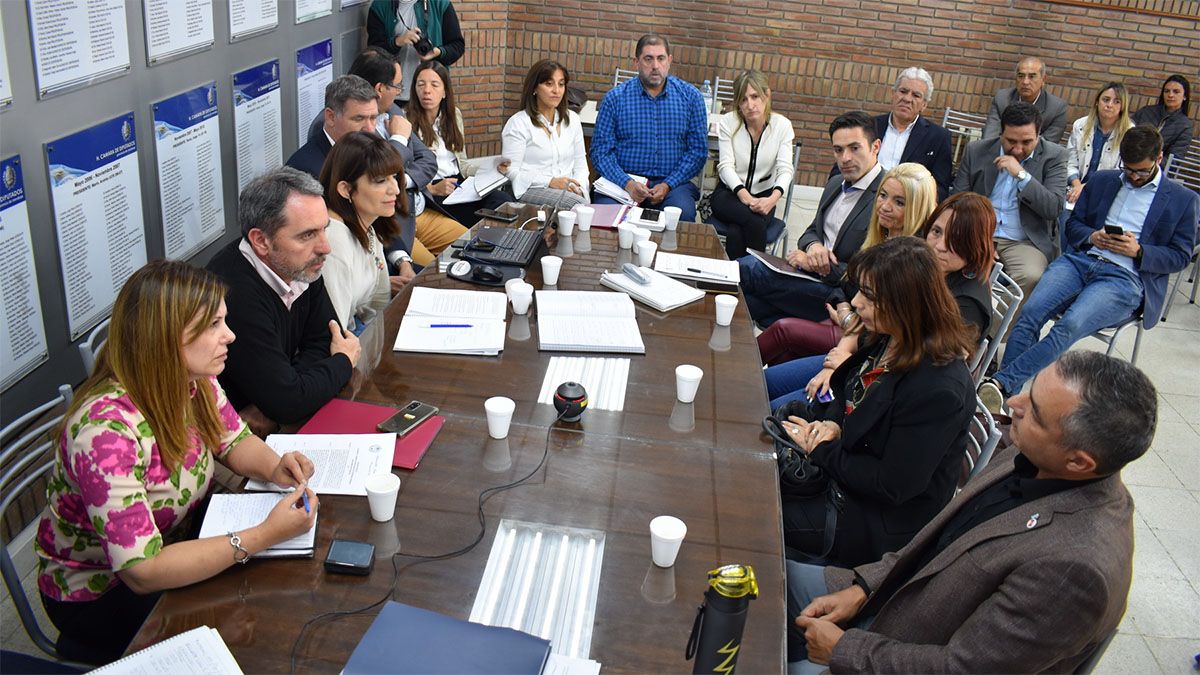 La coordinadora general de Educación Superior, Emma Cunietti, y el rector del Instituto de Educación Física (a la derecha), Luis Castillo, en la comisión de Diputados.