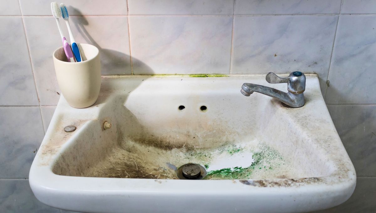 Realiza una limpieza semanal del baño para mantenerlo impecable y evitar que se acumule la suciedad. Realiza una limpieza semanal del baño para mantenerlo impecable y evitar que se acumule la suciedad. 