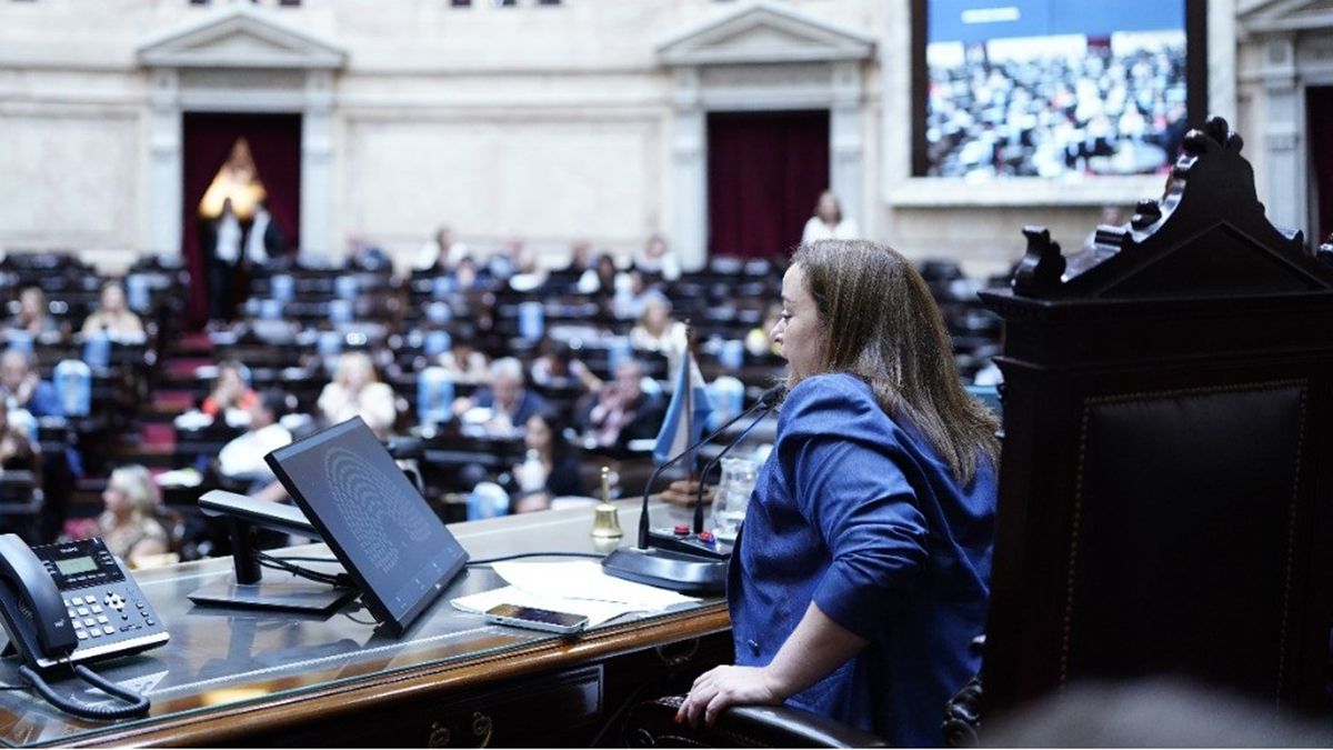 En la Cámara de Diputados se tratará el proyecto que impulsa el ministro Sergio Massa.