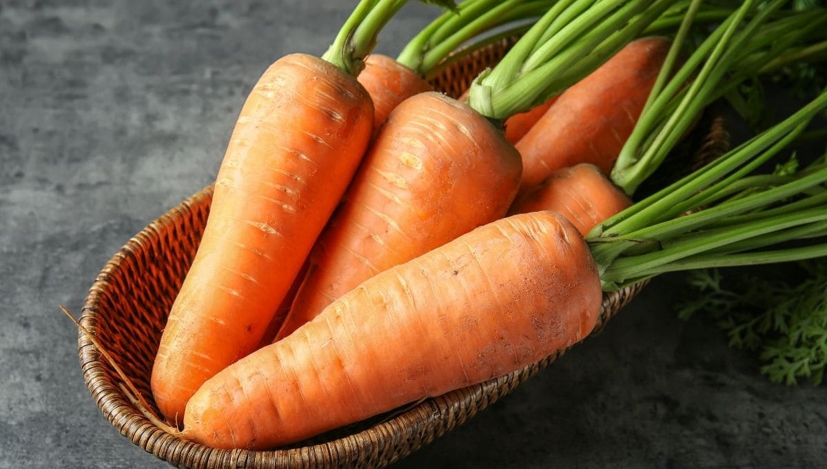 gEl impensado beneficio de sumar zanahoria a tu dieta