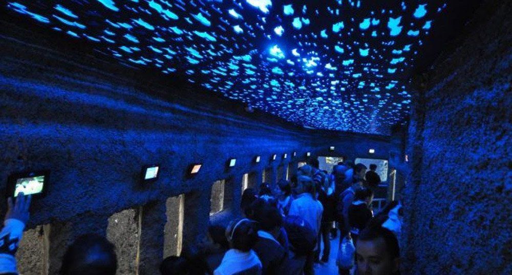 El Acuario de Mendoza se transformará en el Centro para la Conservación de la Biodiversidad