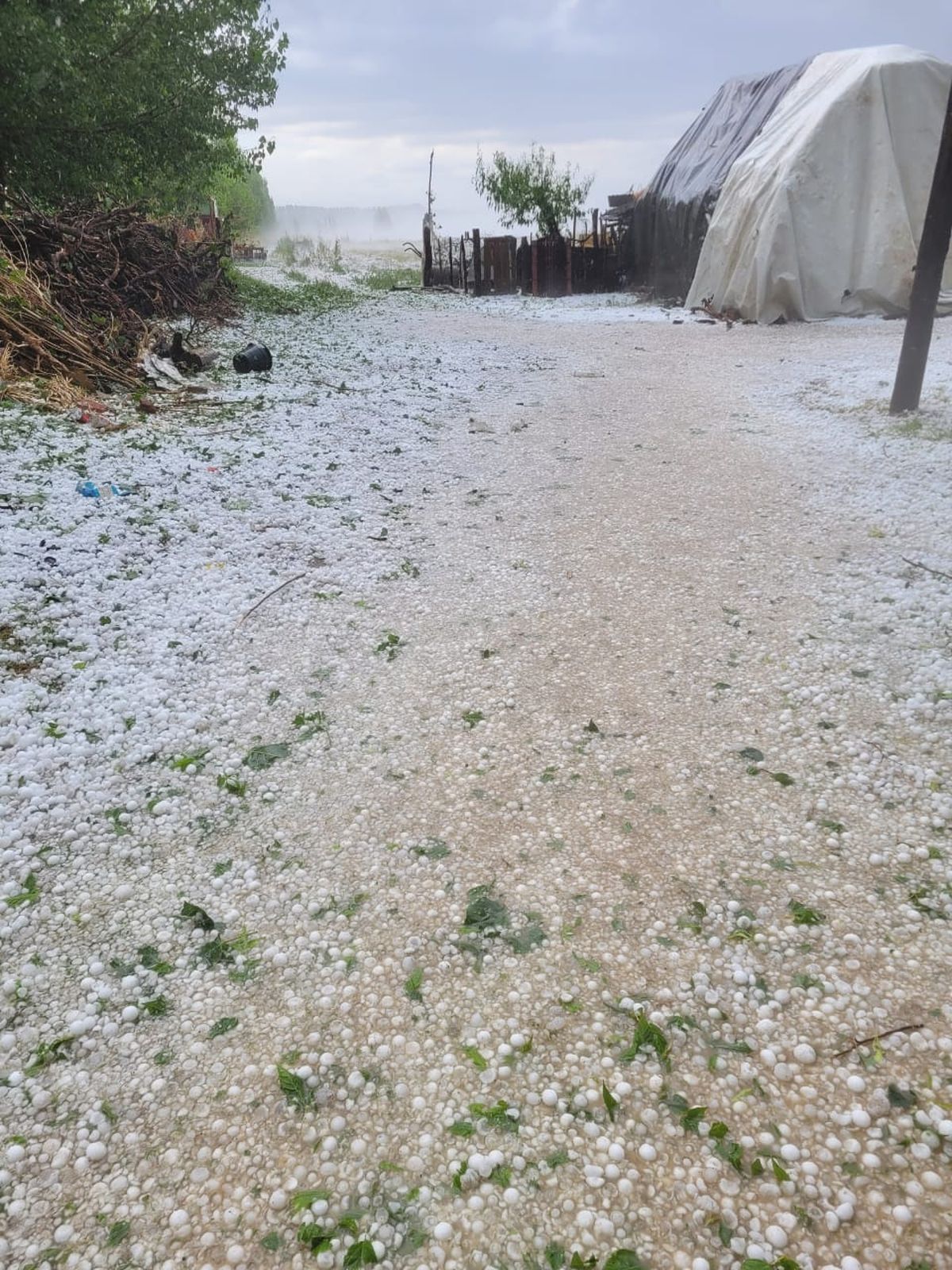 Todo cubierto de blanco en San Carlos por el granizo. Todo cubierto de blanco en San Carlos por el granizo.