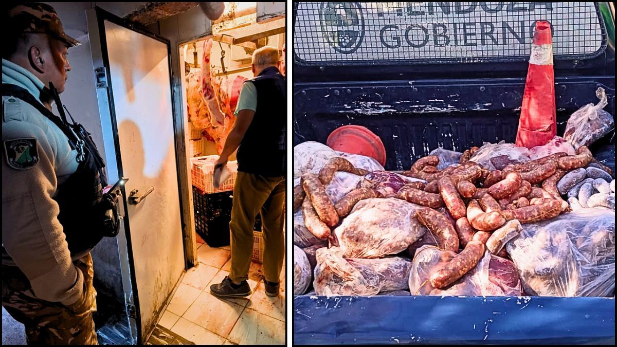 Redes de faena clandestina: en lo que va del año ya decomisaron 3.300 kilos de carne