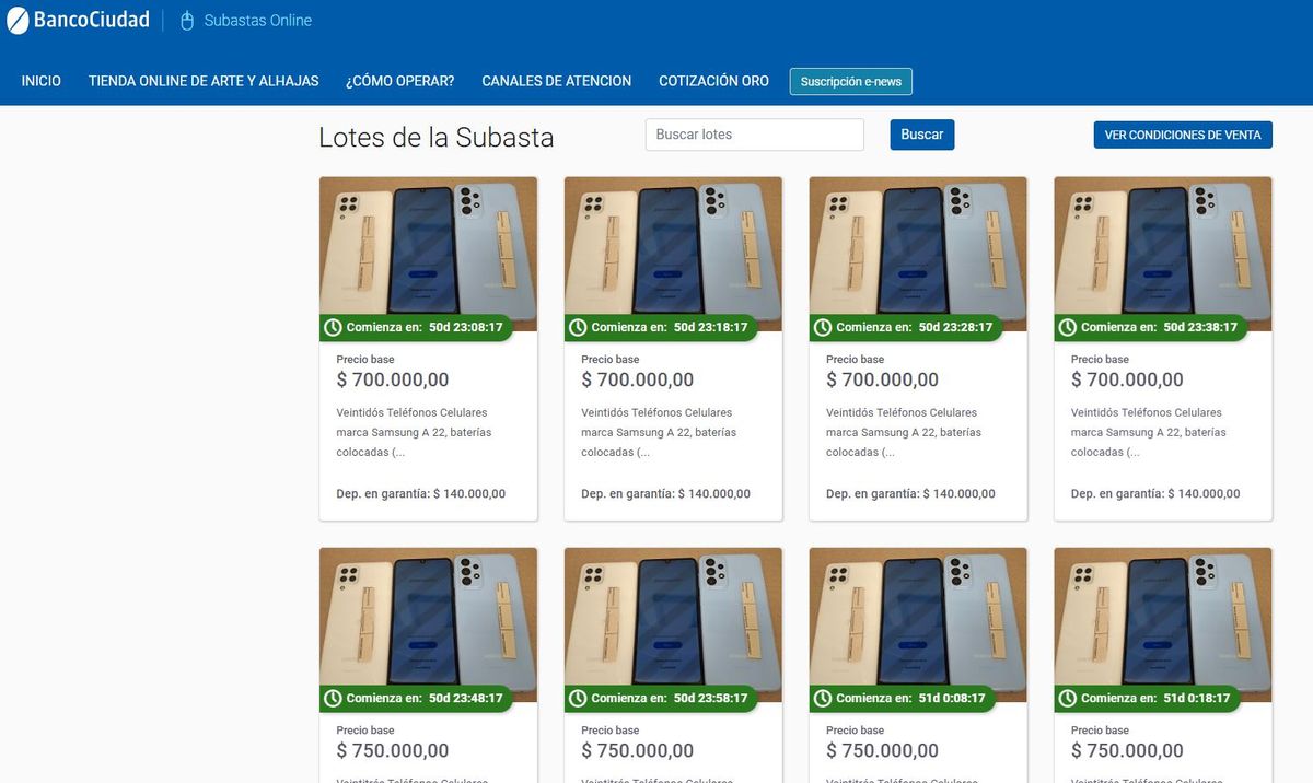 El Banco Ciudad subasta una gran variedad de bienes, que pueden incluir inmuebles (casas, departamentos), veh&iacute;culos (autos y camionetas) y mercader&iacute;as en general.