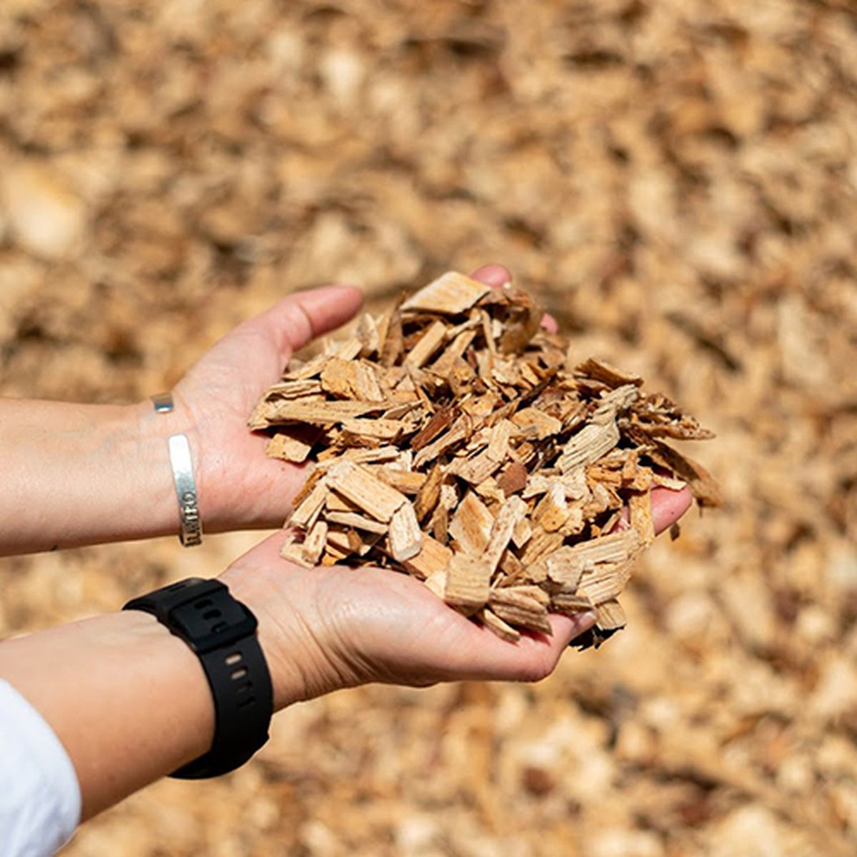 Chips de corteza de pino. Chips de corteza de pino.