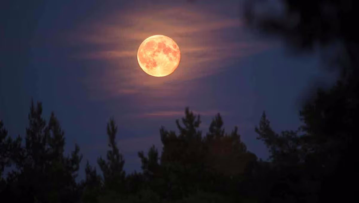 Luna del Cazador, el sorprendente fenómeno astronómico que podrá observarse en los próximos días Luna del Cazador, el sorprendente fenómeno astronómico que podrá observarse en los próximos días