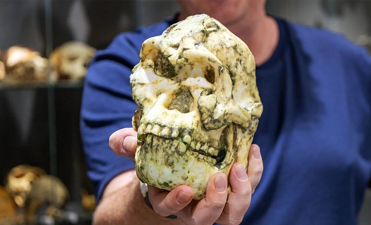 ¿Será posible? Descubrimiento de fósil de una nueva especie humana deja perplejos a los científicos