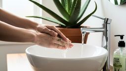El aloe vera puede ser beneficioso para el lavado de manos.&nbsp;