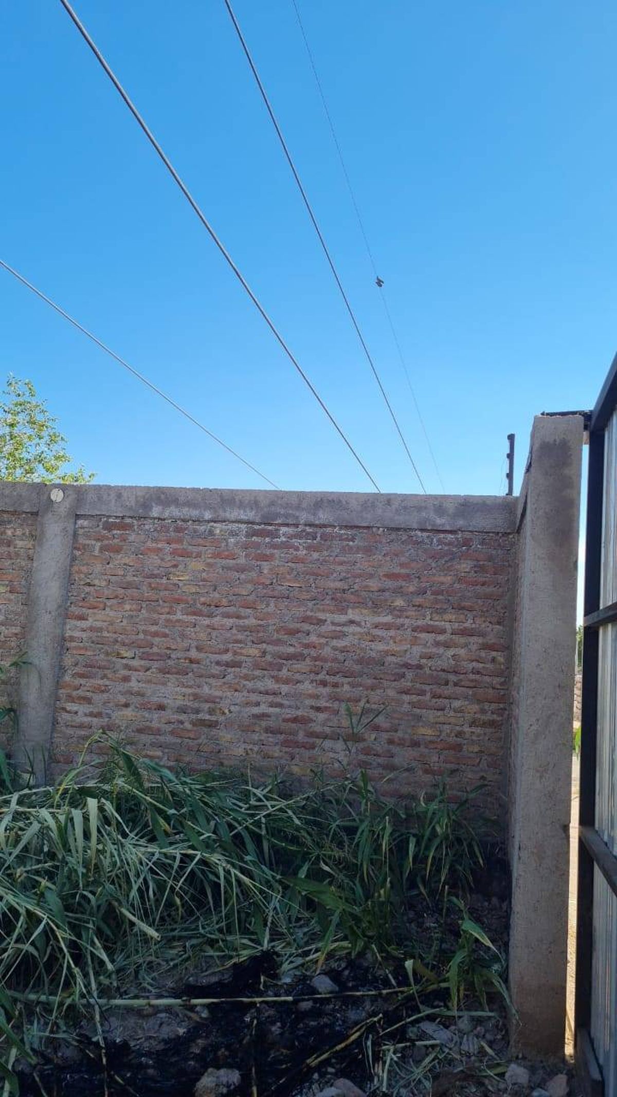 El lugar donde sucedió la descarga eléctrica en Luján de Cuyo. El lugar donde sucedió la descarga eléctrica en Luján de Cuyo.