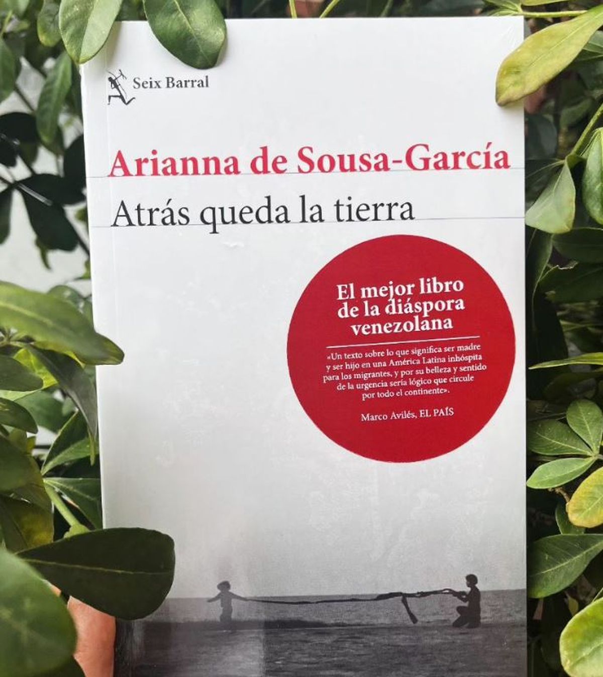 Tapa del último libro de Arianna. Tapa del último libro de Arianna.