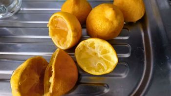 Si tenés limones usados y su cáscara en casa, tenés un tesoro en tus manos: por qué y para qué sirven Si tenés limones usados y su cáscara en casa, tenés un tesoro en tus manos: por qué y para qué sirven