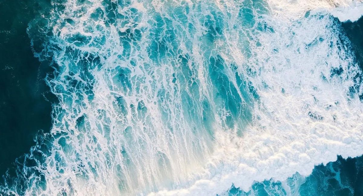 El Pacífico: el océano más grande del mundo El Pacífico: el océano más grande del mundo