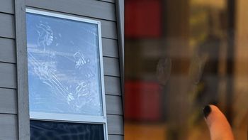 Chau marcas de dedos en los vidrios, metales y electrodomésticos: con un truco casero Chau marcas de dedos en los vidrios, metales y electrodomésticos: con un truco casero