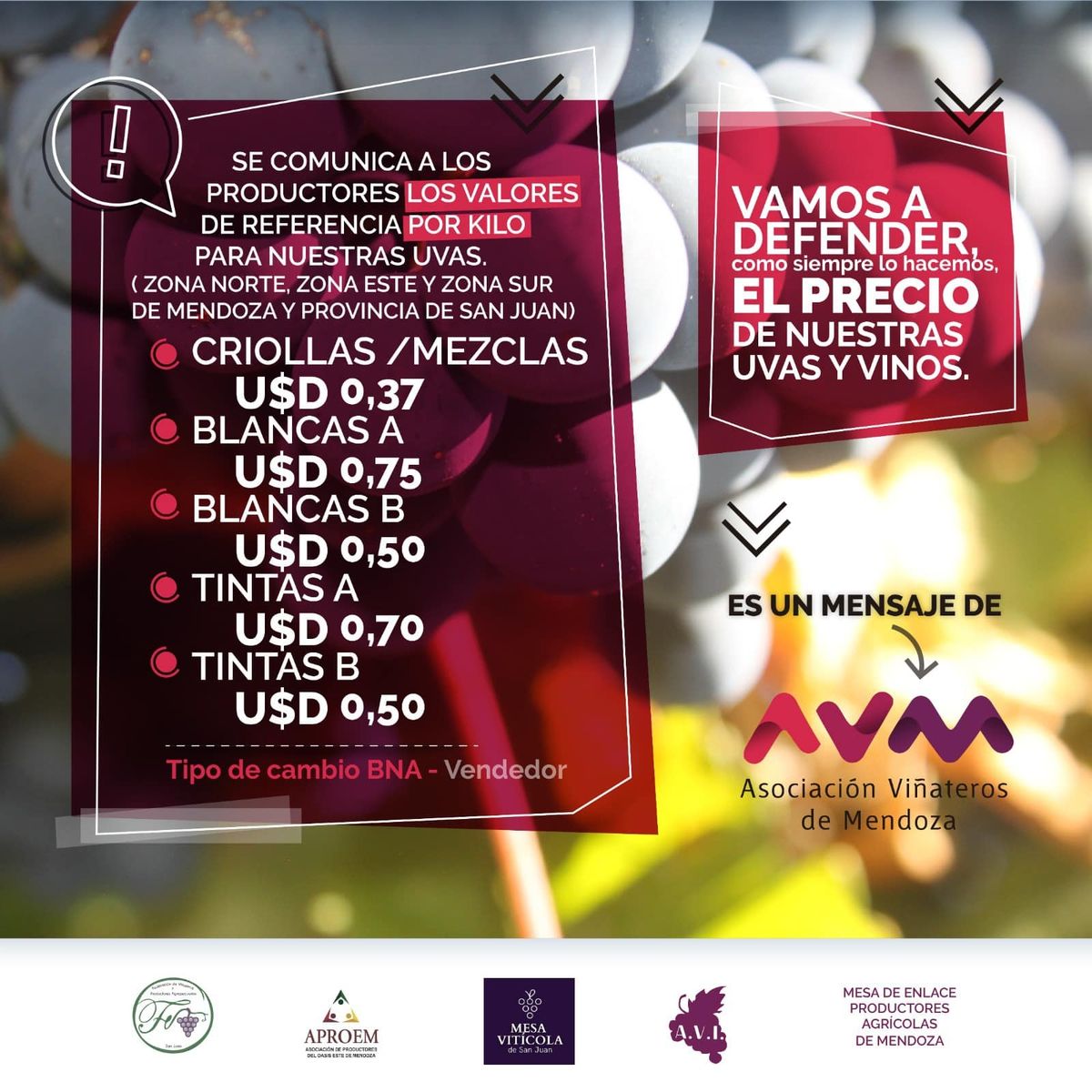 El mensaje no cambia, el precio sí: los productores pretenden no menos de $340/kilo de uva, aunque la industria no está dispuesta a pagarlo El mensaje no cambia, el precio sí: los productores pretenden no menos de $340/kilo de uva, aunque la industria no está dispuesta a pagarlo