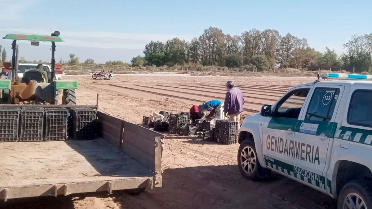 Gendarmería es una de las fuerzas que trabaja en la detección de casos de trata. Gendarmería es una de las fuerzas que trabaja en la detección de casos de trata.