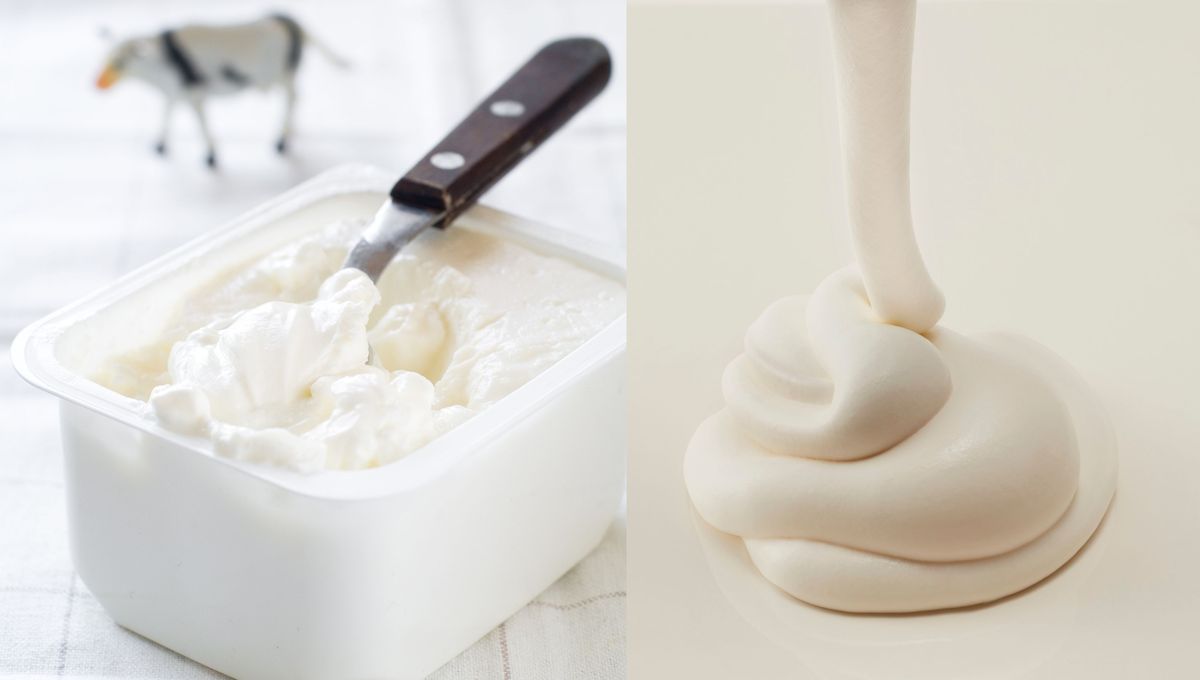 Puedes usar crema o queso para preparar la chocotorta, el sabor no cambia mucho. Puedes usar crema o queso para preparar la chocotorta, el sabor no cambia mucho.