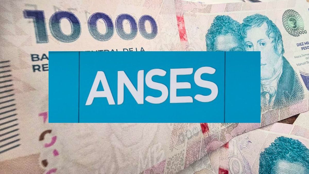  ANSES: paso a paso para tramitar la Libreta AUH