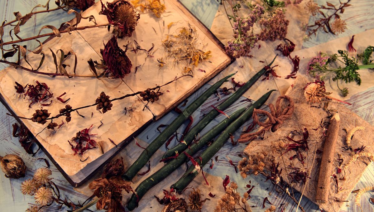 El secreto de las brujas celtas para cuidar las plantas