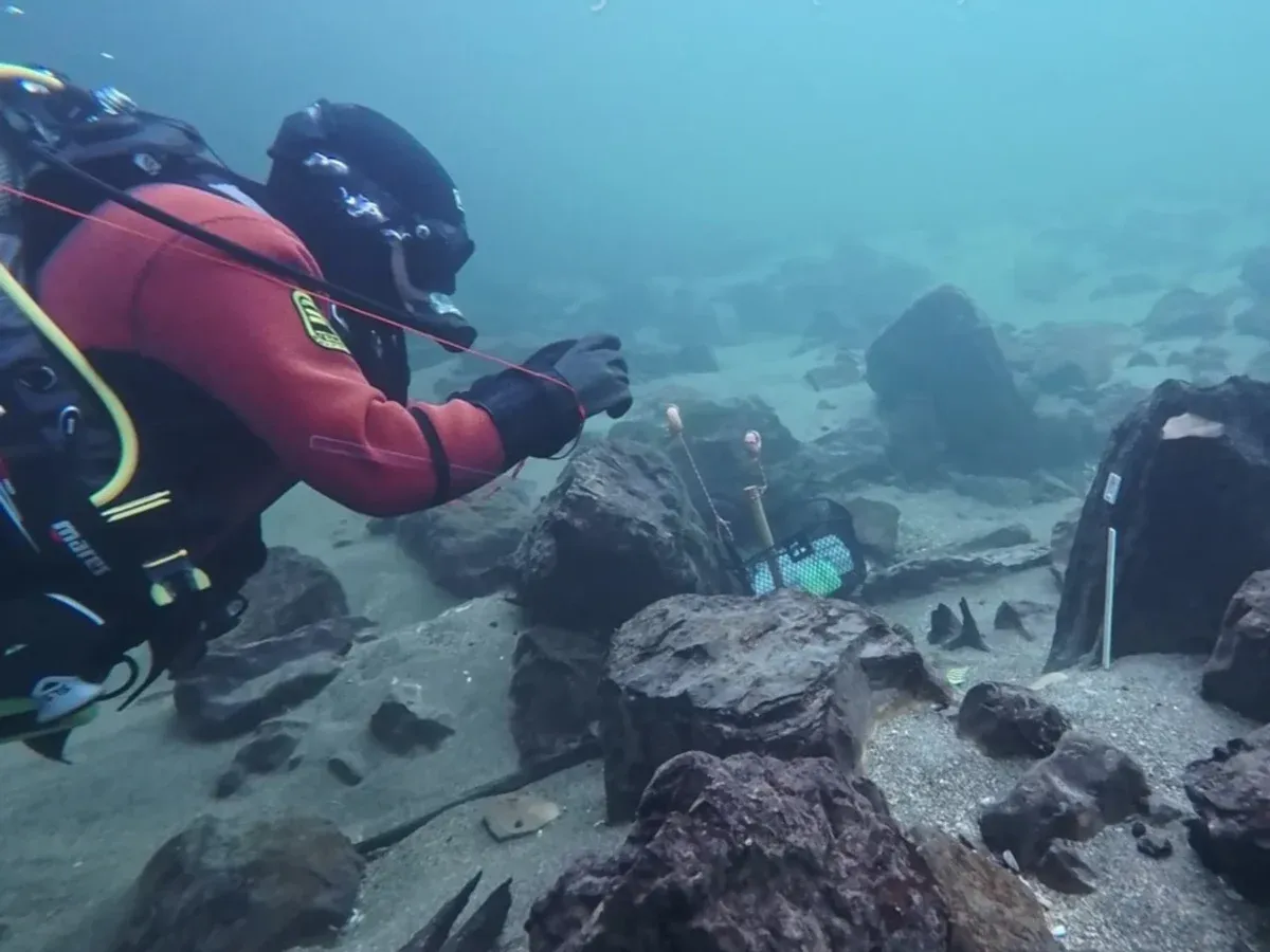Los arqueólogos submarinos no daban crédito a sus ojos.