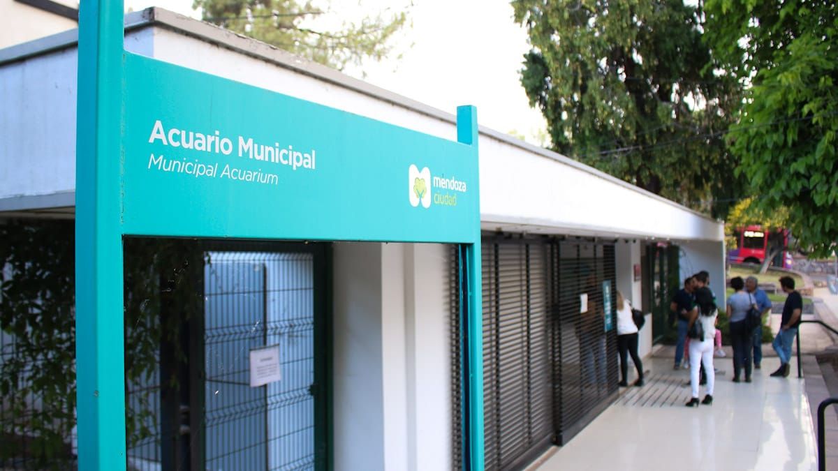 Uno de los más emblemáticos pensionistas de lo que fue el Acuario Municipal, el tortugo Jorge, se despide en un viaje que puede significar volver algún día a su ambiente natural.