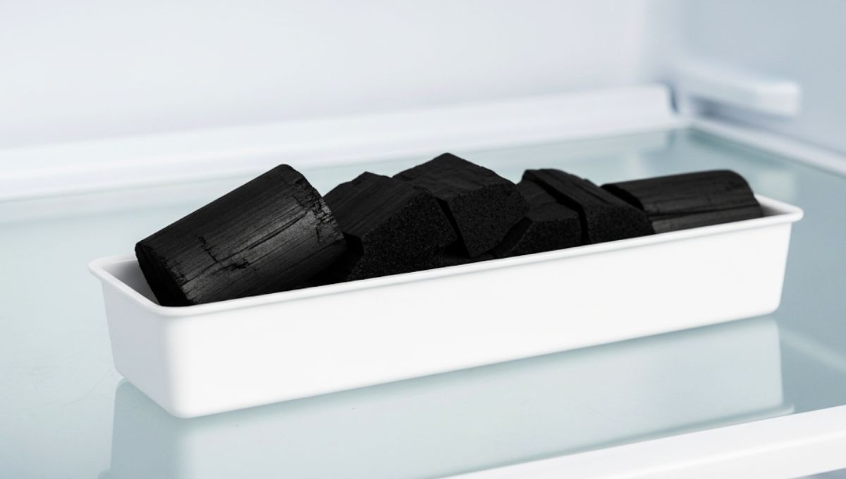 El carbón en la heladera puede darte grandes beneficios&nbsp;