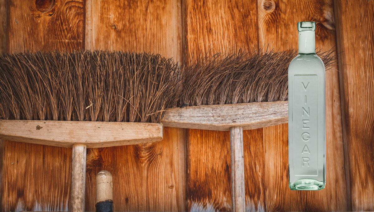 Realiza esta limpieza con vinagre por lo menos una vez al mes. Realiza esta limpieza con vinagre por lo menos una vez al mes. 