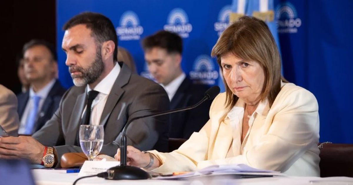 Patricia Bullrich se entusiasmó con el avance de la reforma laboral tras reunirse con senadores aliados