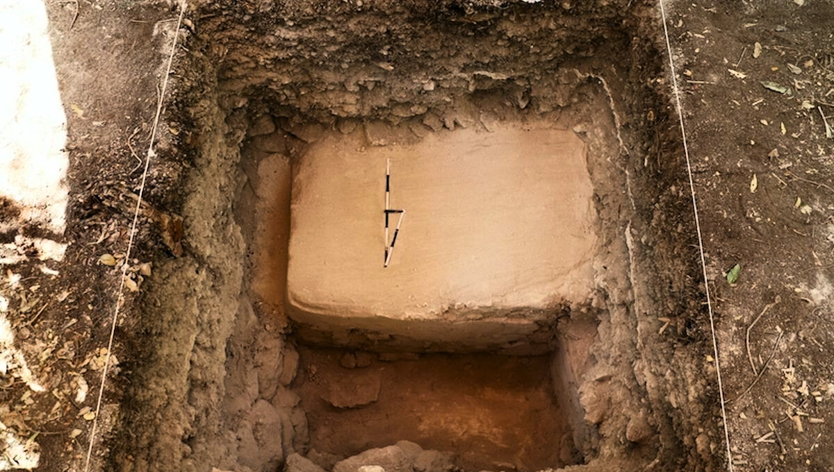 Un nuevo descubrimiento relacionado con la civilización maya fue realizado en México